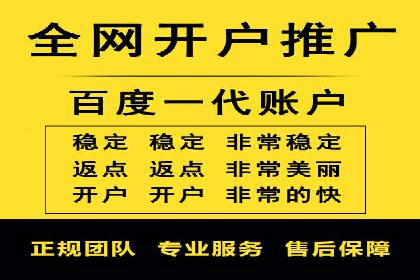 SEM运营推广助力行业领导地位