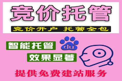 某品牌SEM广告投放效果全解析